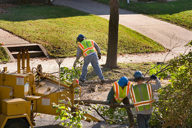 Mulching Services in Ardmore, PA